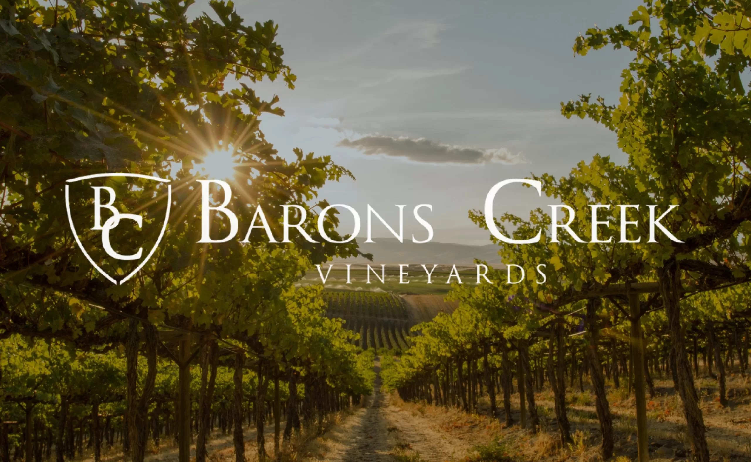 Barons Creek Vineyard in Fredericksburg, TX Logo