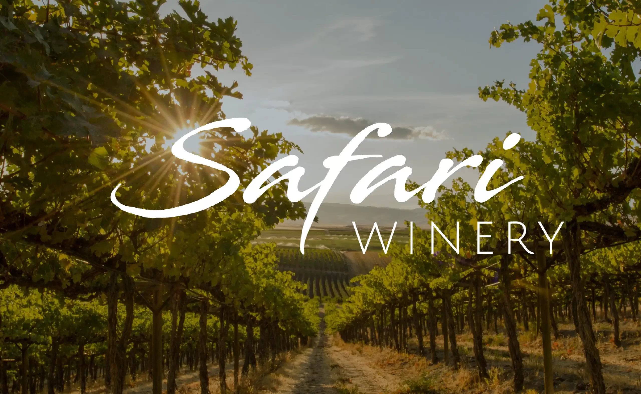 safari winery logo