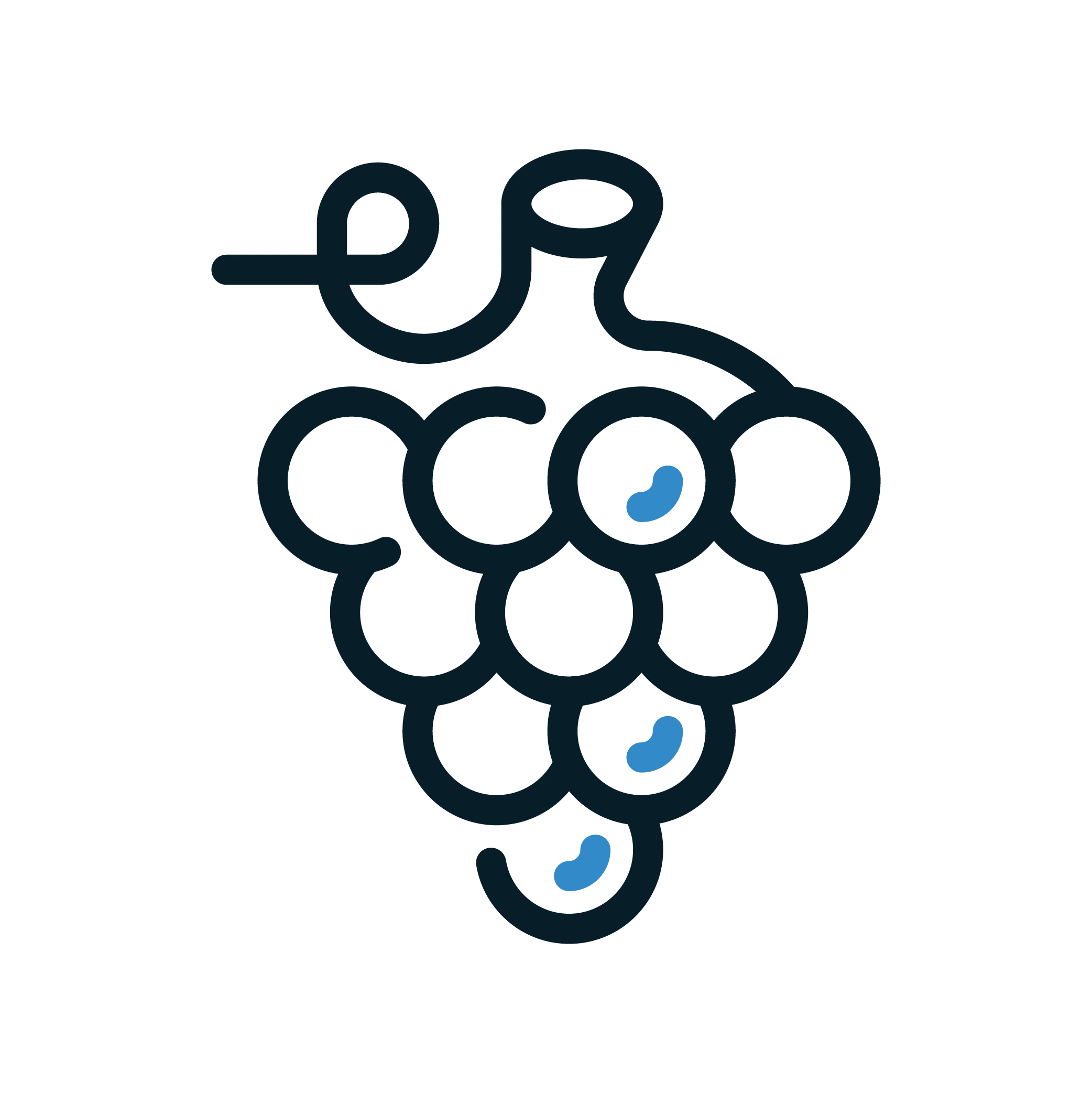Dark blue icon of grapes.