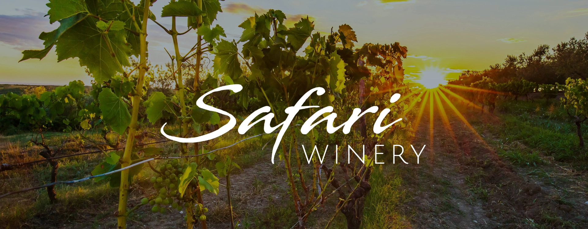 Photo of a winery with the sun shining and "Safari Winery" overlaid in white text.