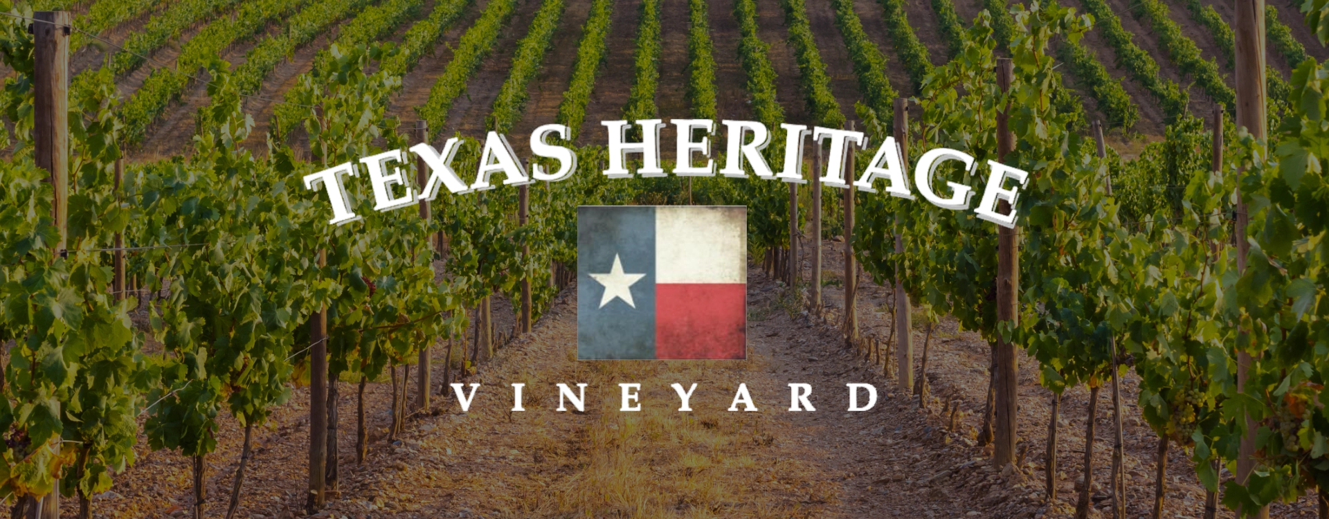Logo of Texas Heritage Vineyard overlaid on a photo of a vineyard.