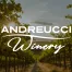 Logo of Andreucci Winery overlaid on a photo of a vineyard.