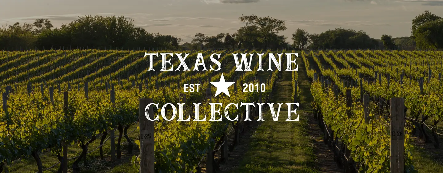 Texas Wine Collective logo overlaid on a photo of a vineyard.